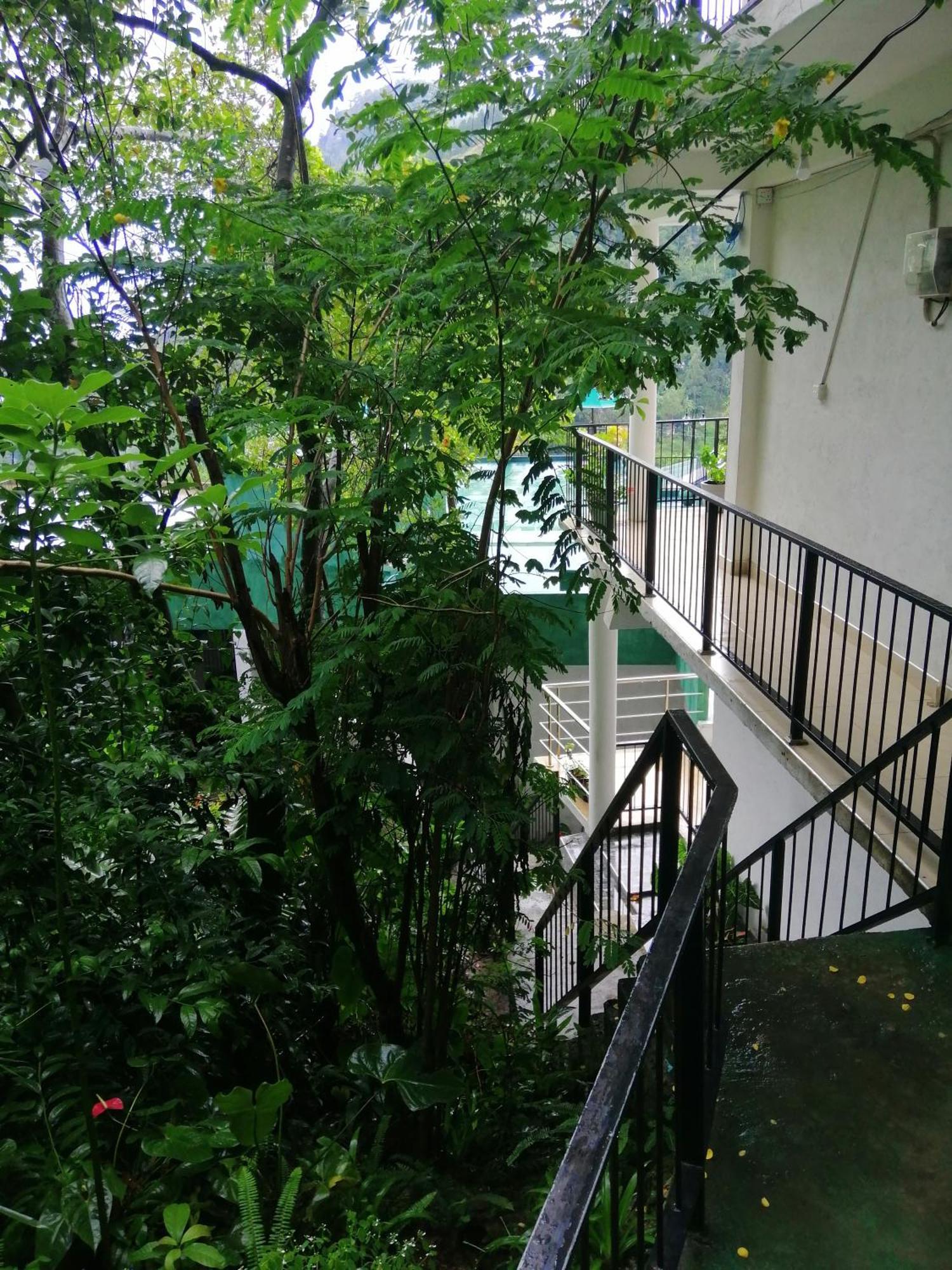 Appartement Super View à Ella Chambre photo